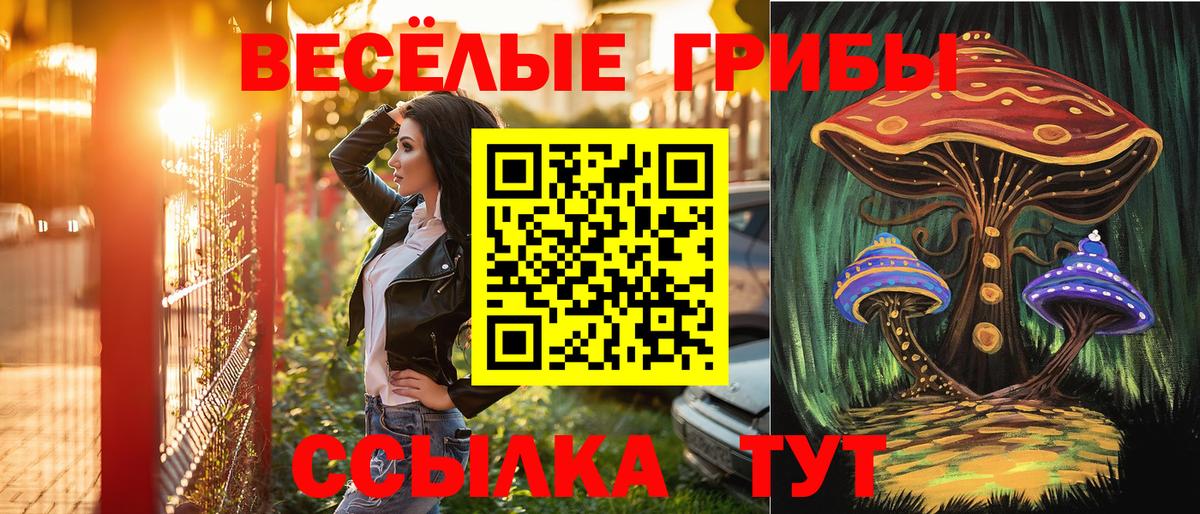 Рузаевка  наркотики  Вход с VPN  Галлюциногенные грибы Magic Shrooms  Галлюциногенные грибы GOLDEN TEACHER 